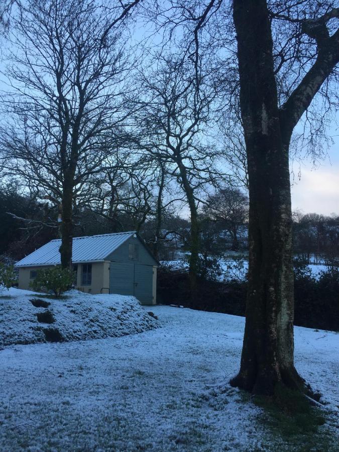 Bed and Breakfast Efail Y Garn Swansea Esterno foto